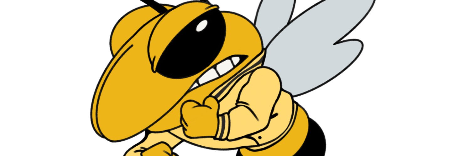 Ms. Hopkins-Vinson banner