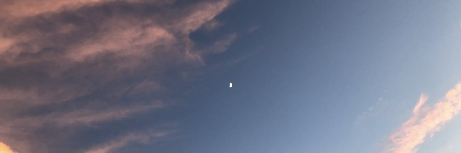 Lauren Canady 🌻 (@lauren8357) / Posts / X