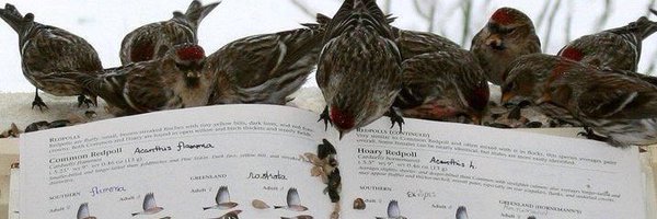 GTBherbstc Profile Banner