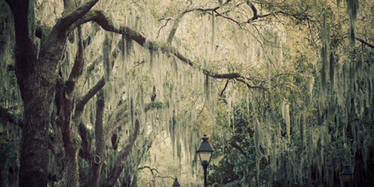 IAmCamBriel's profile banner image