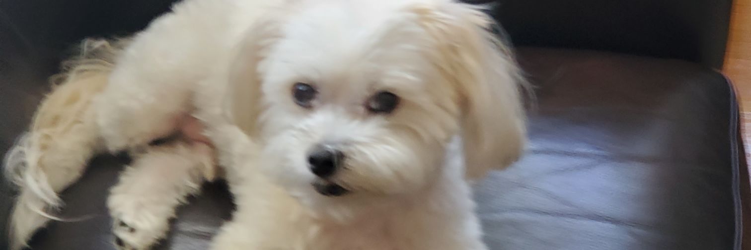 tadehp33's profile banner image