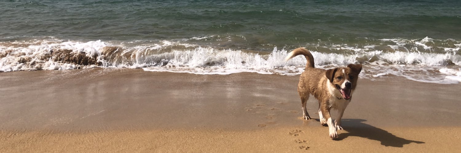 Loremy Astacio banner