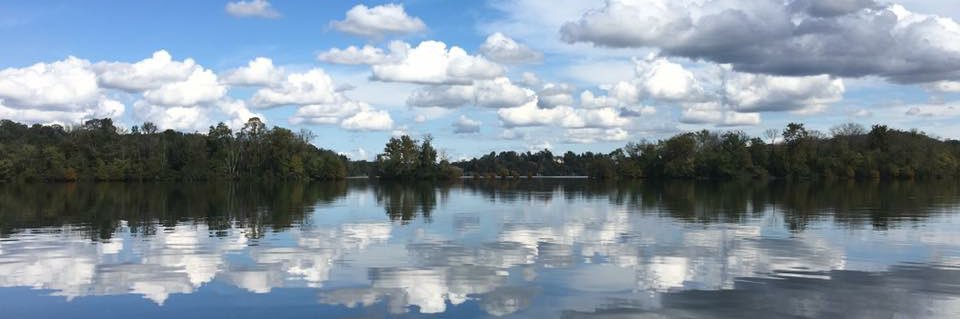 Martha Ledford banner
