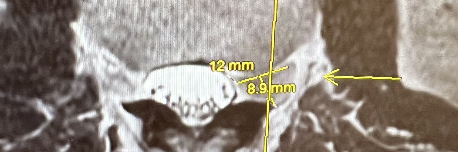 Ho Lee Puk 🇺🇸 banner