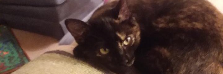 LidZ1315's profile banner image