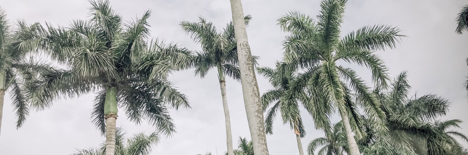 Kenzi_luu's profile banner image