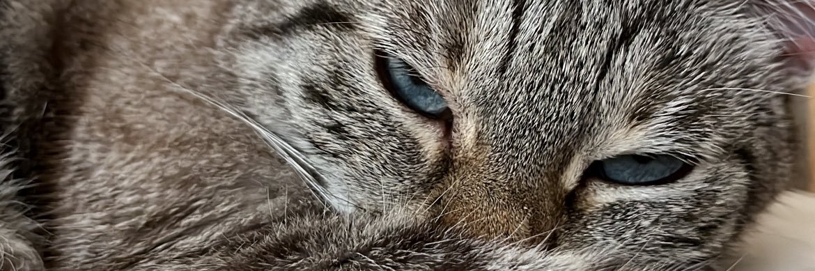 AlexMarch12's profile banner image