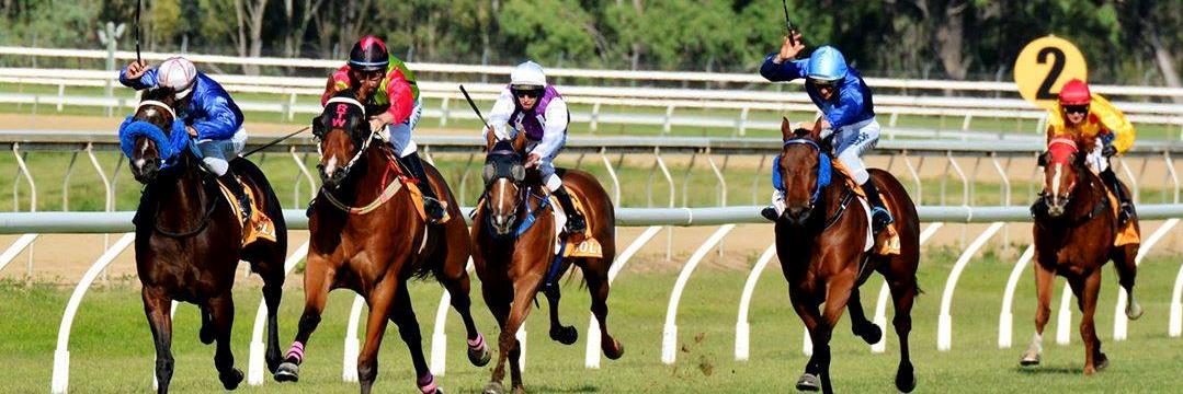 Rockhampton Jockey C banner