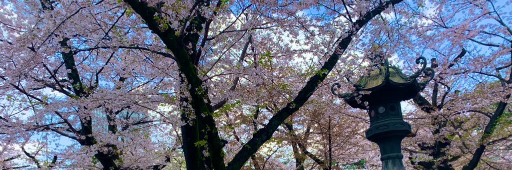 添田詩織🇯🇵's banner