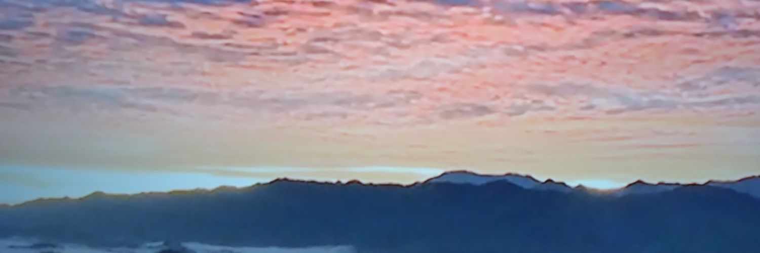 basukining's profile banner image