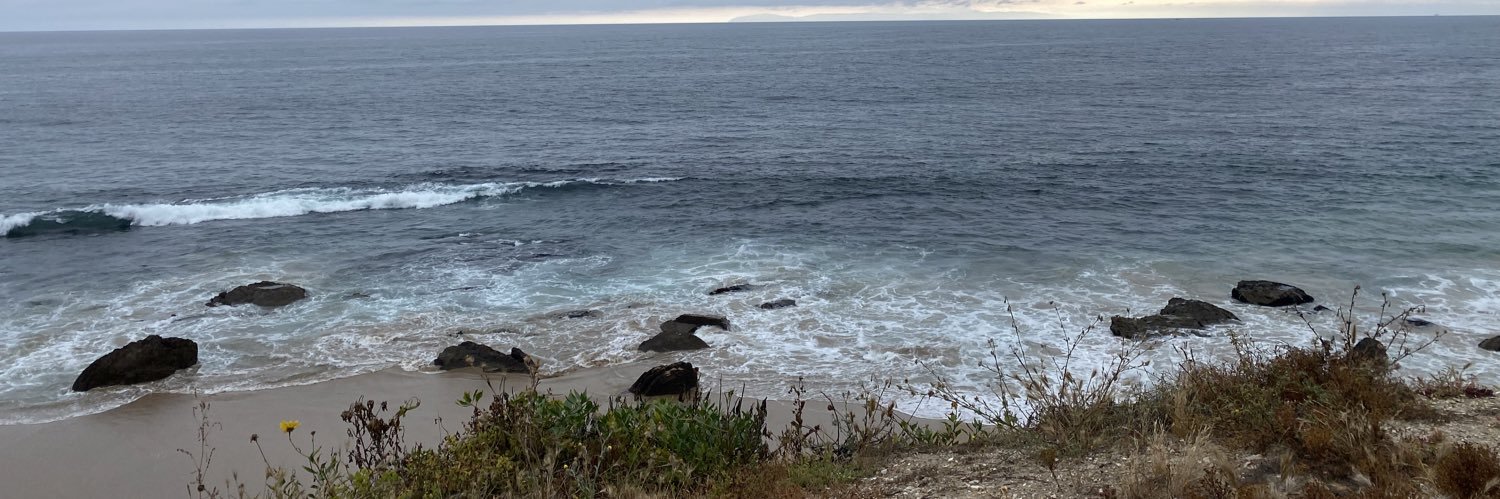 Sarah Emerson banner