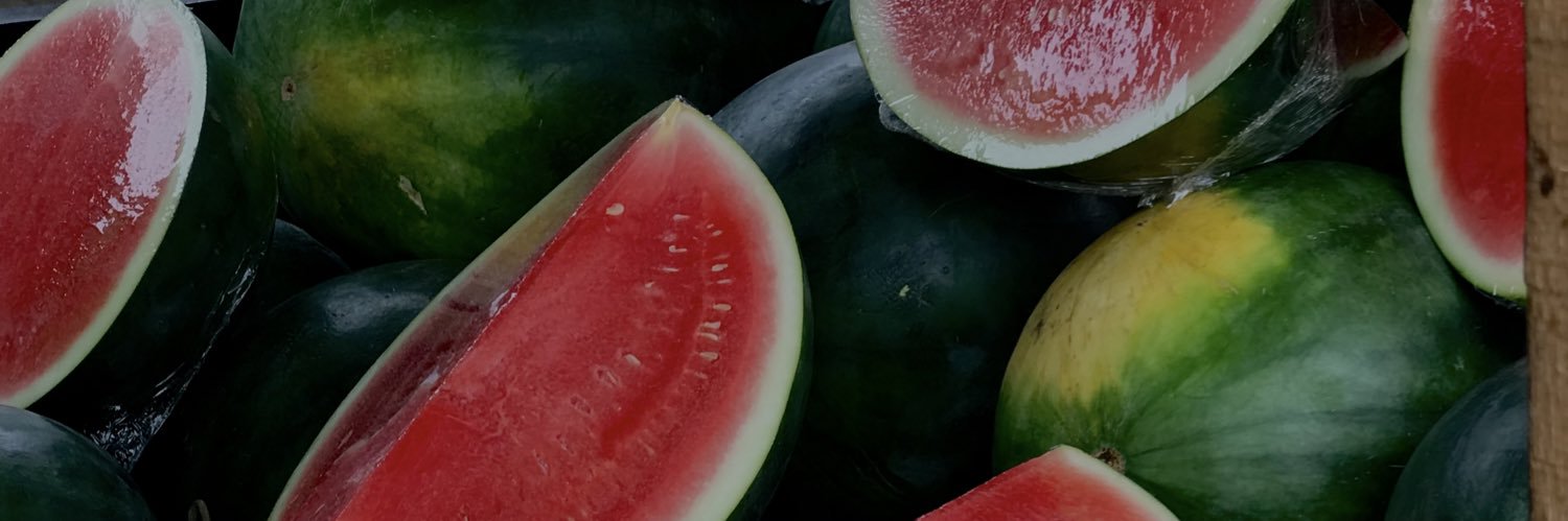 piaregal's profile banner image