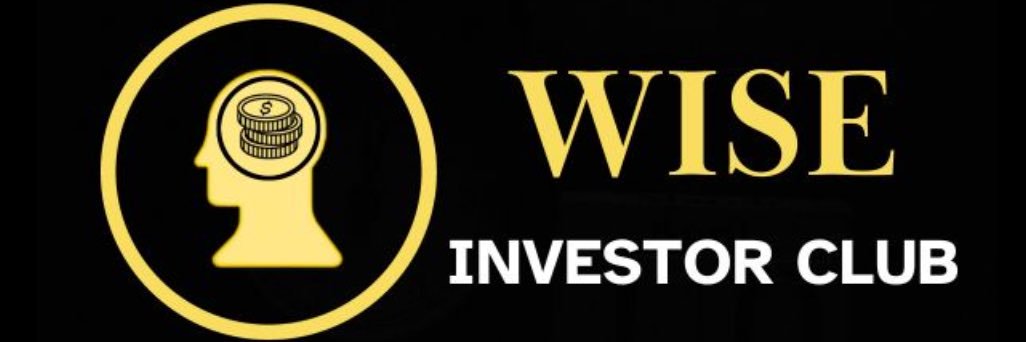 The Wise Investor 🧠 banner