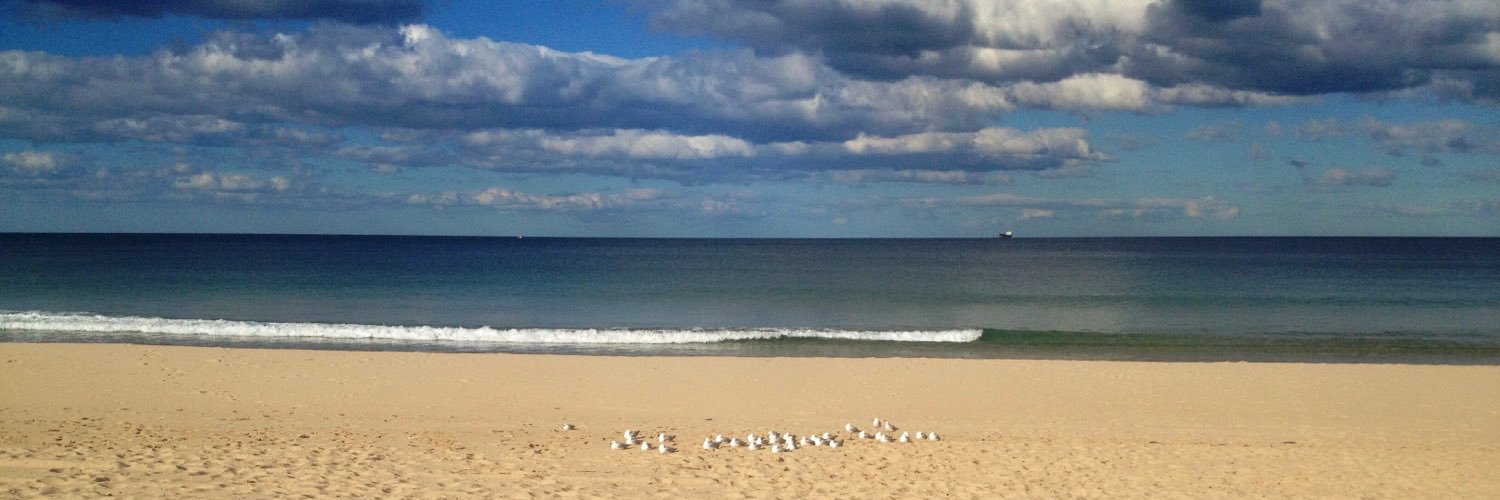 maya_alba's profile banner image