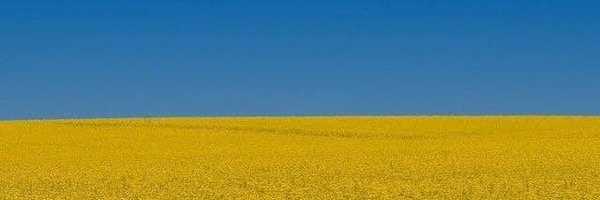 opencampus_sh Profile Banner