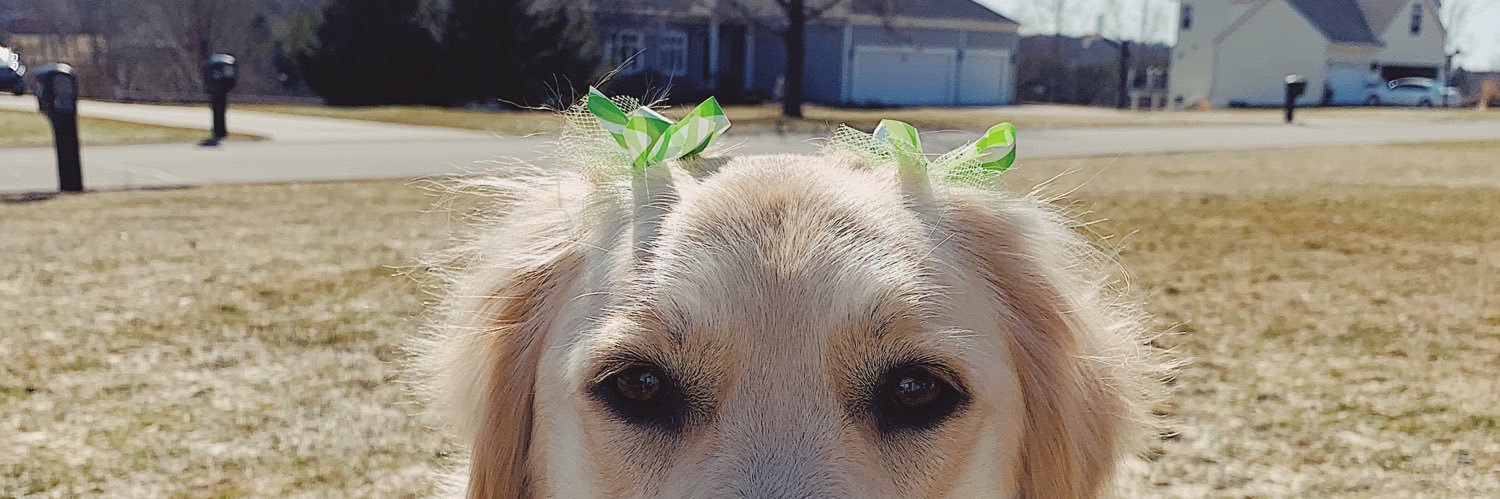 maddie_thelen's profile banner image