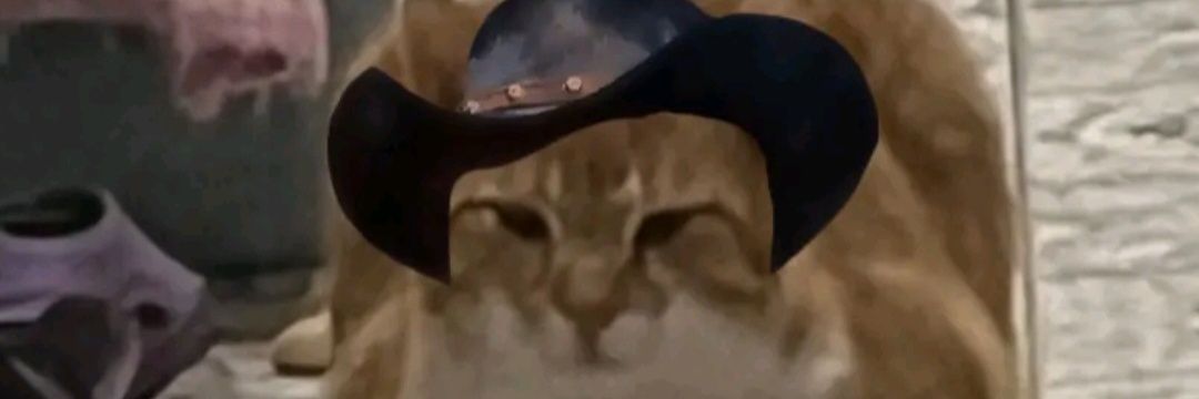 wompwomp✨️🔞 tv brainrot banner