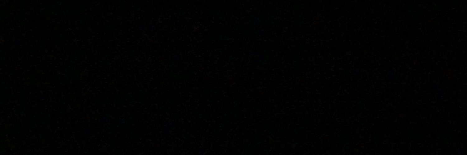 RubyPapilio's profile banner image