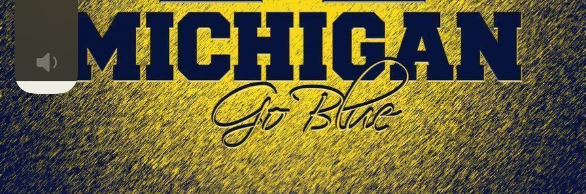 93Dipietro's profile banner image