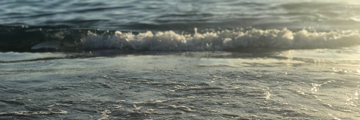 lifeintheshead's profile banner image