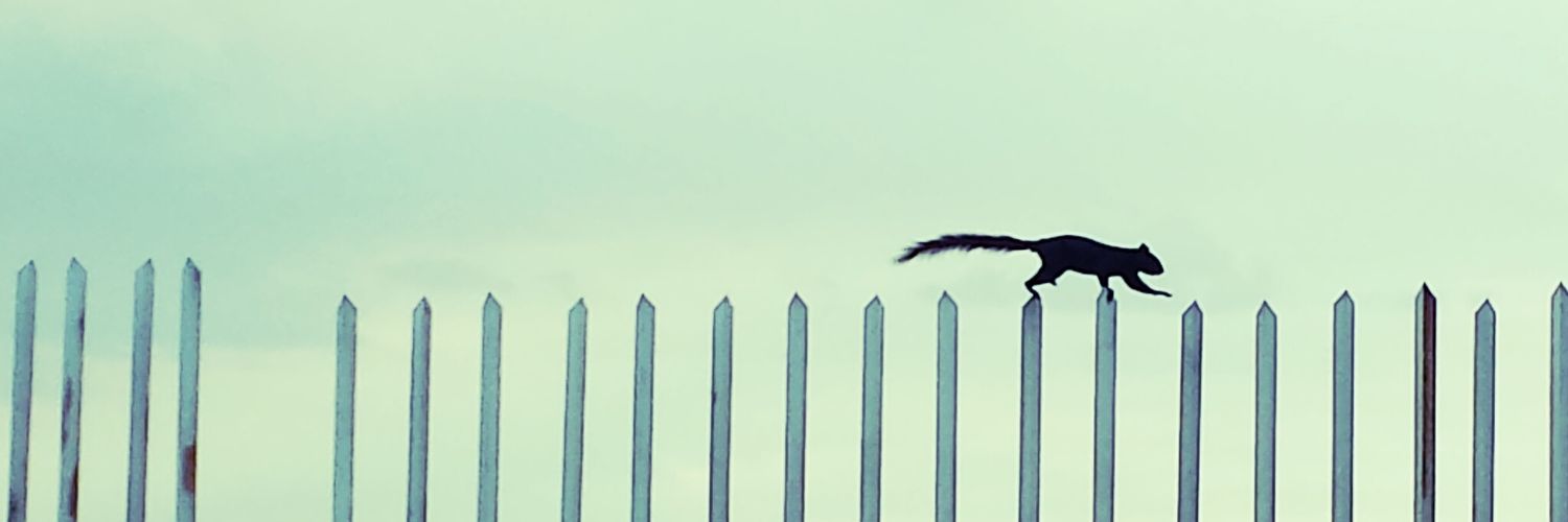 adarhateatro's profile banner image