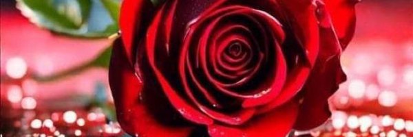 India4448 Profile Banner