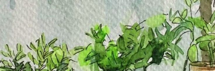 °𝐋𝐢m𝐲^^ banner