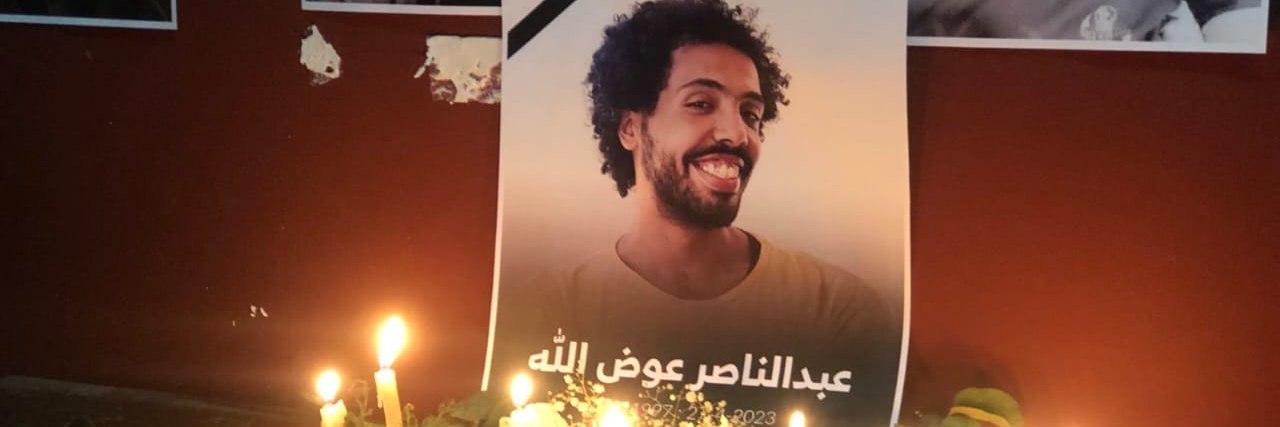 Elham Eidarous banner