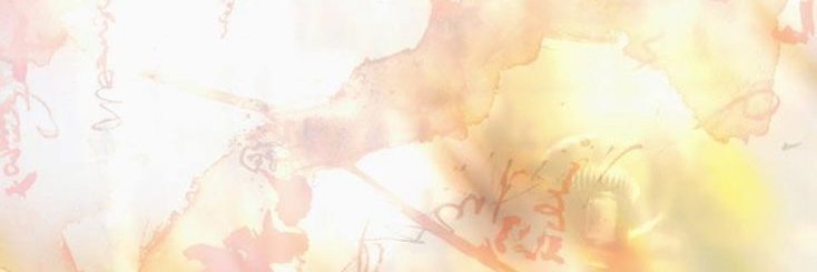 ꔫ Vix of Shedtwt banner