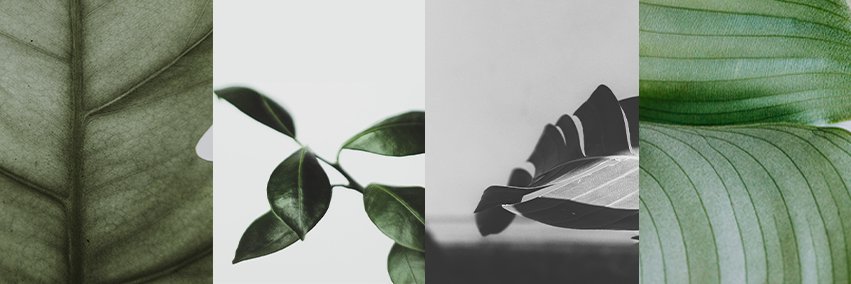 ToniiqOfficial's profile banner image