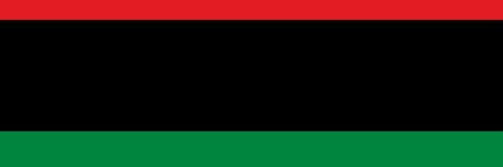 Black Star Lineage 🔴⚫️🟢✊🏼✊🏽✊🏾✊🏿🇧🇧🇲🇸🇻🇨's banner