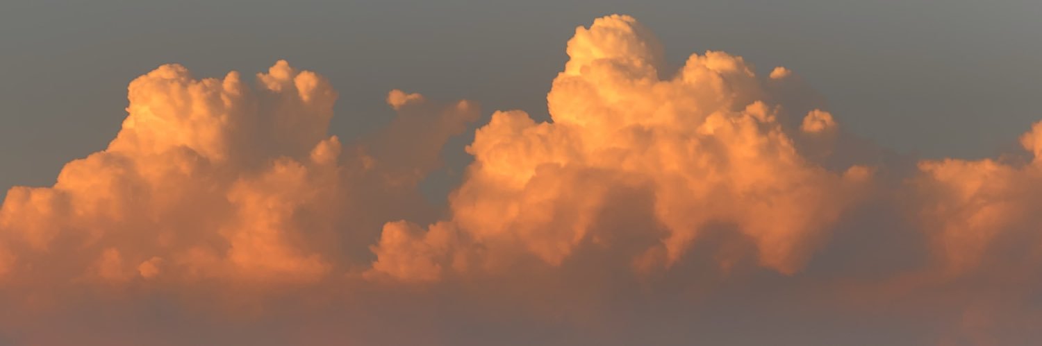 sofiang01's profile banner image
