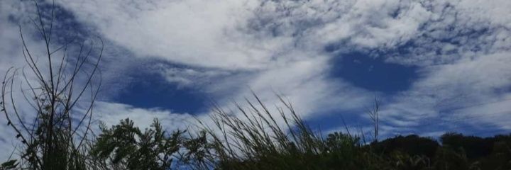 TNama49679's profile banner image