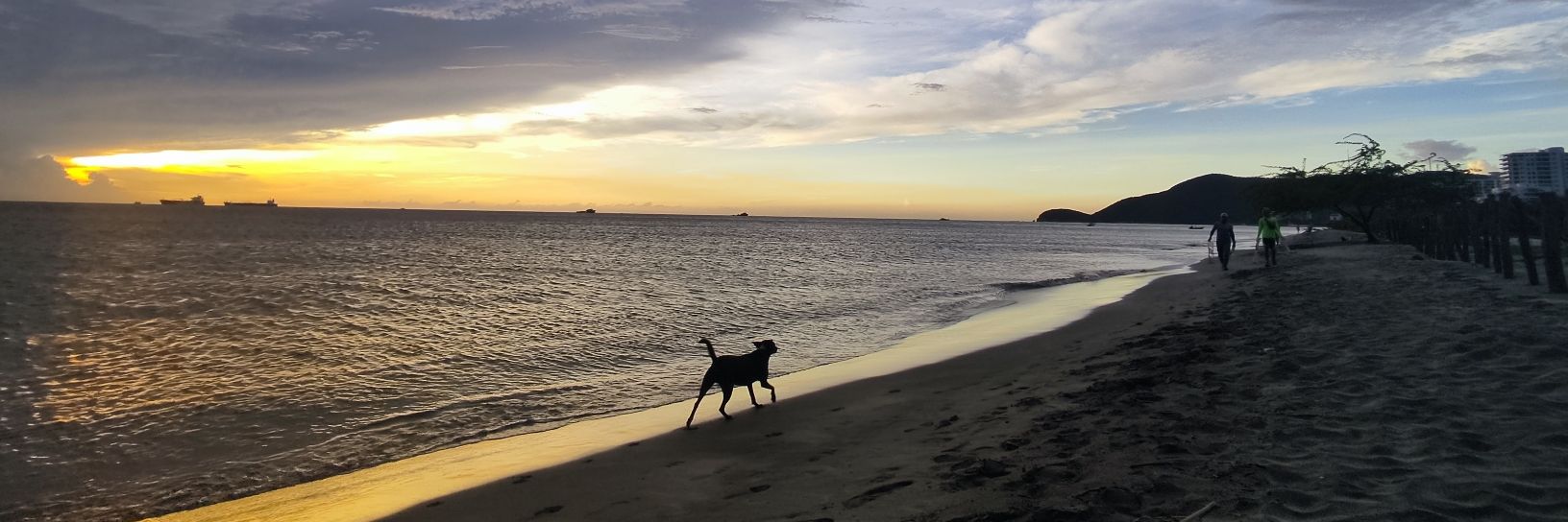 Luisoptions's profile banner image