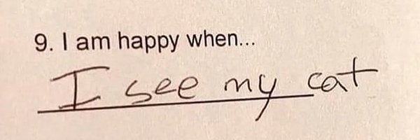 1uv9982 Profile Banner