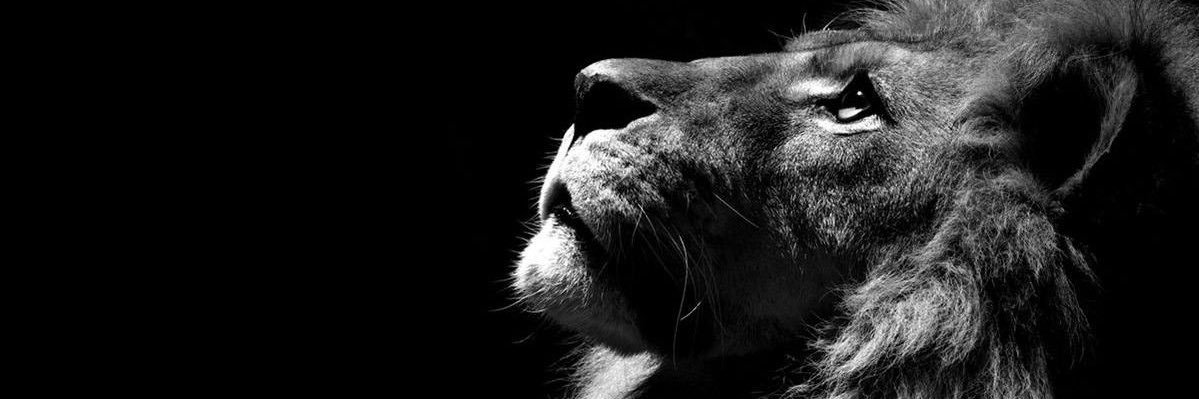 Al3mmari7's profile banner image
