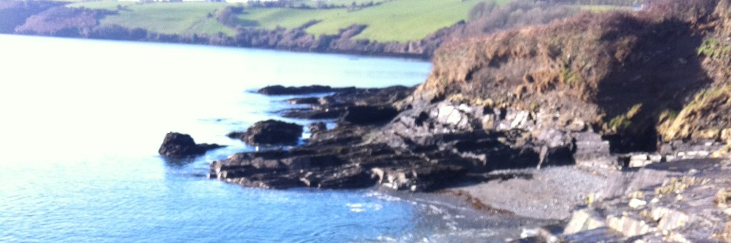 MAEVE SHEEHAN banner