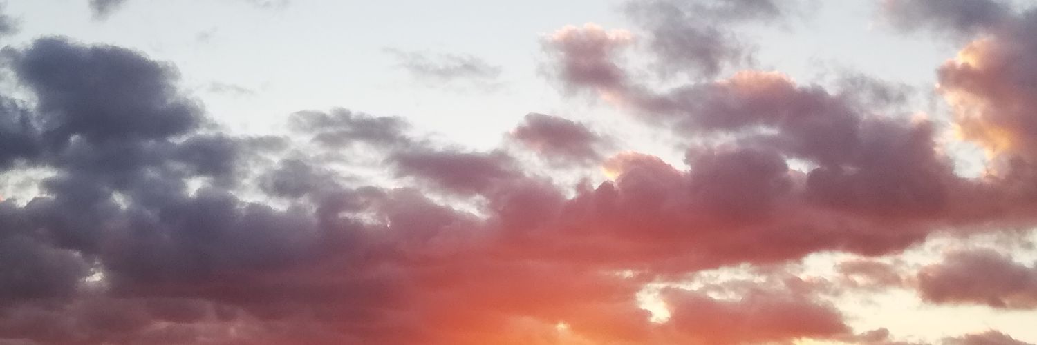 Telonia's profile banner image