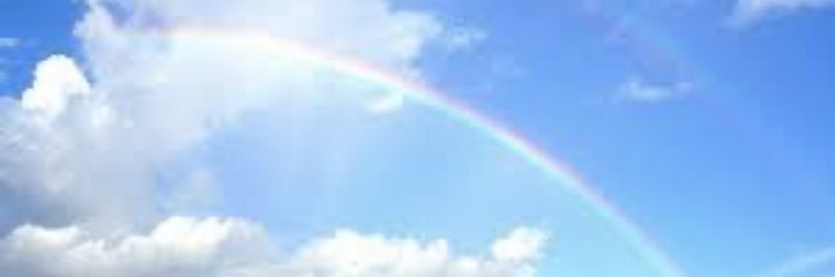 ohagi975's profile banner image