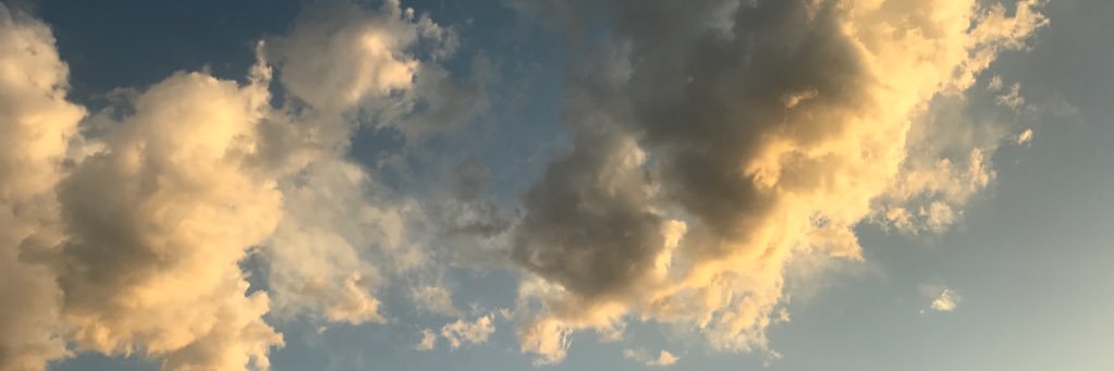 laura_taylor8's profile banner image