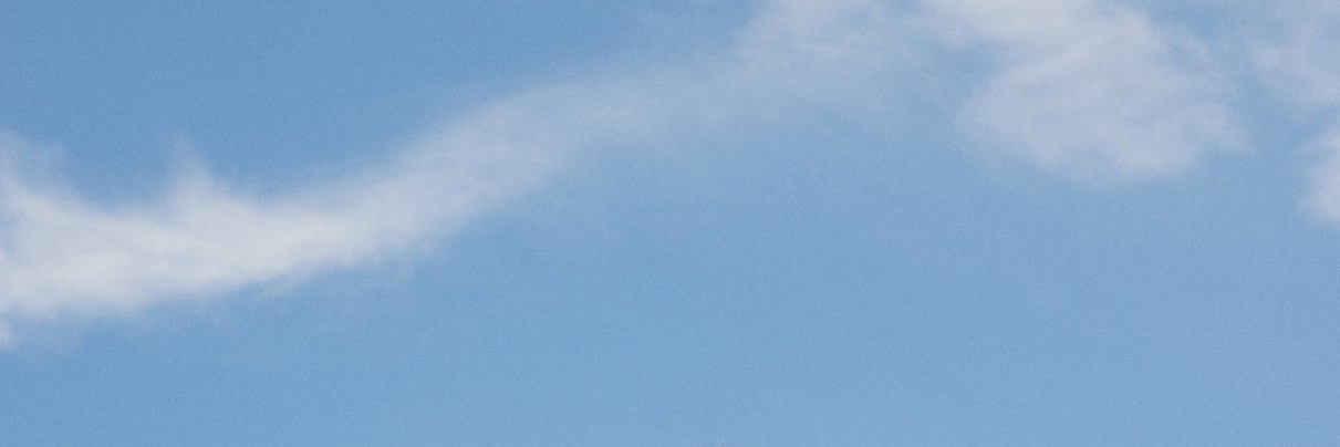 𝓘sabelle. banner