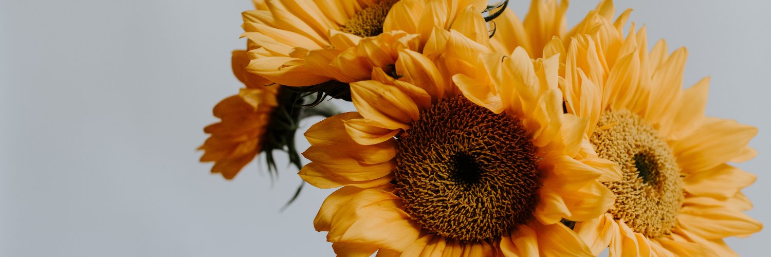 Bonney Corbin banner