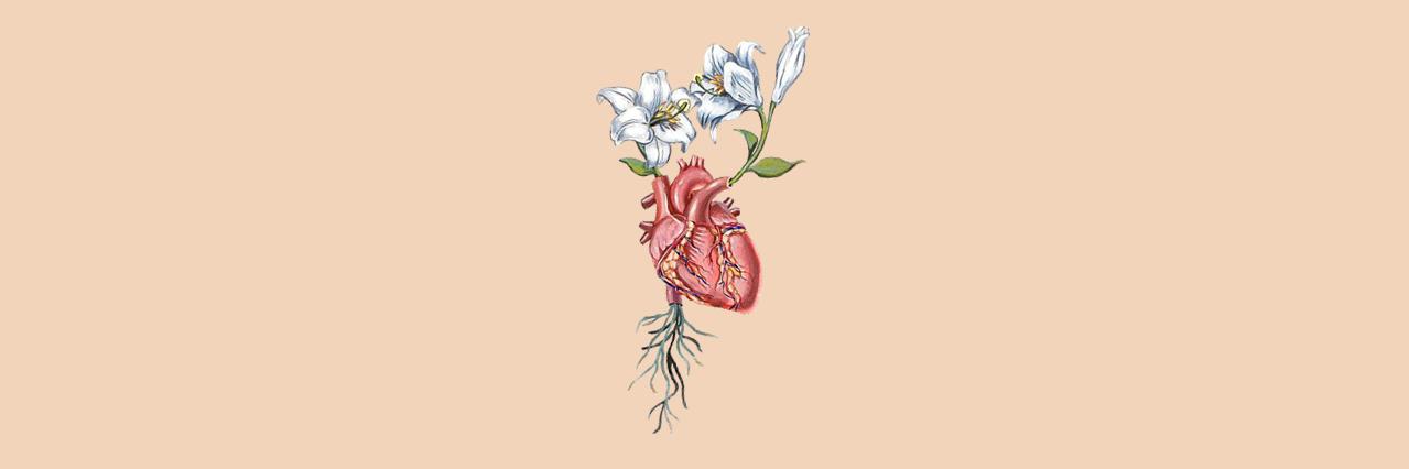 MaiiBrunelli's profile banner image