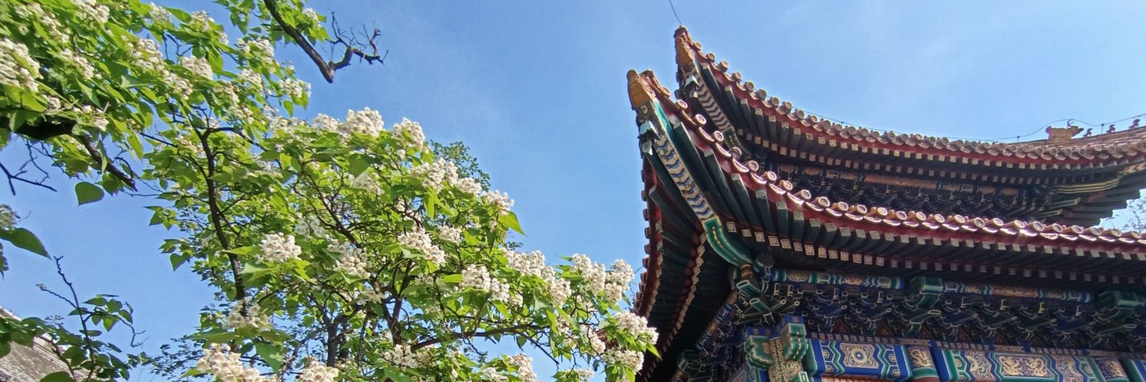 ♡𝙃𝙖𝙥𝙥𝙮 banner