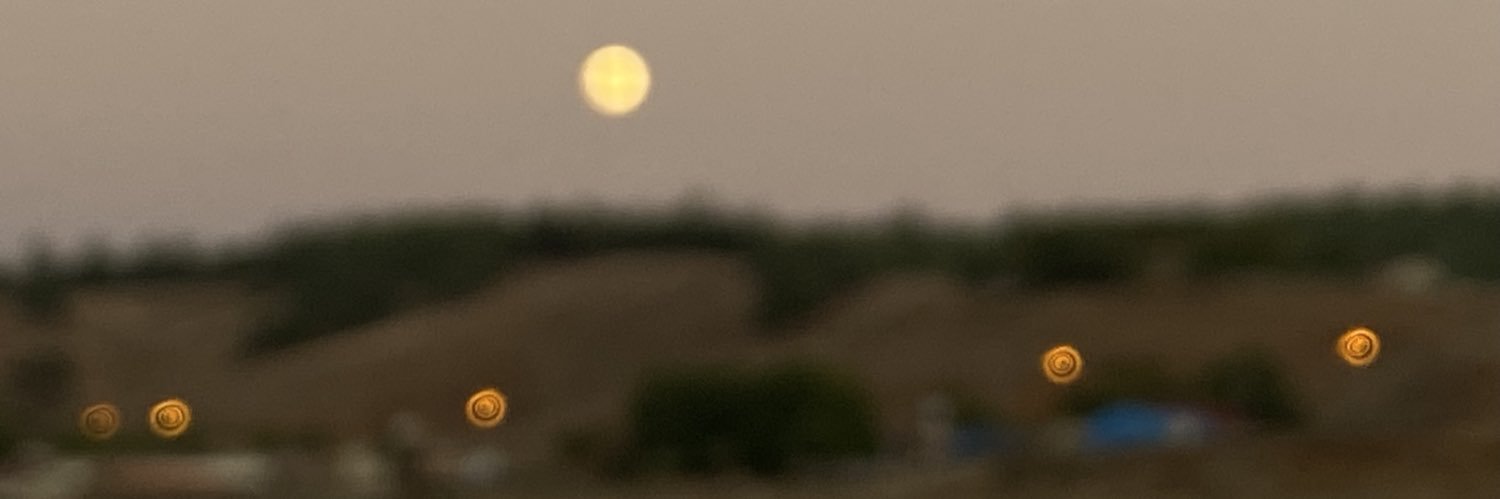 _zlnur's profile banner image