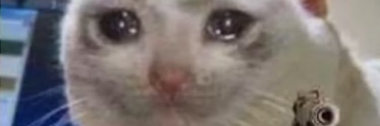 カオマニー banner