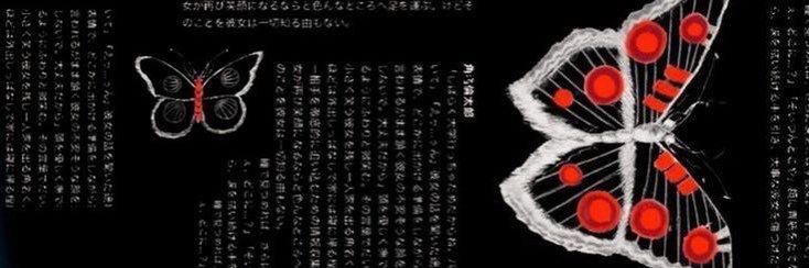 avvaquin's profile banner image