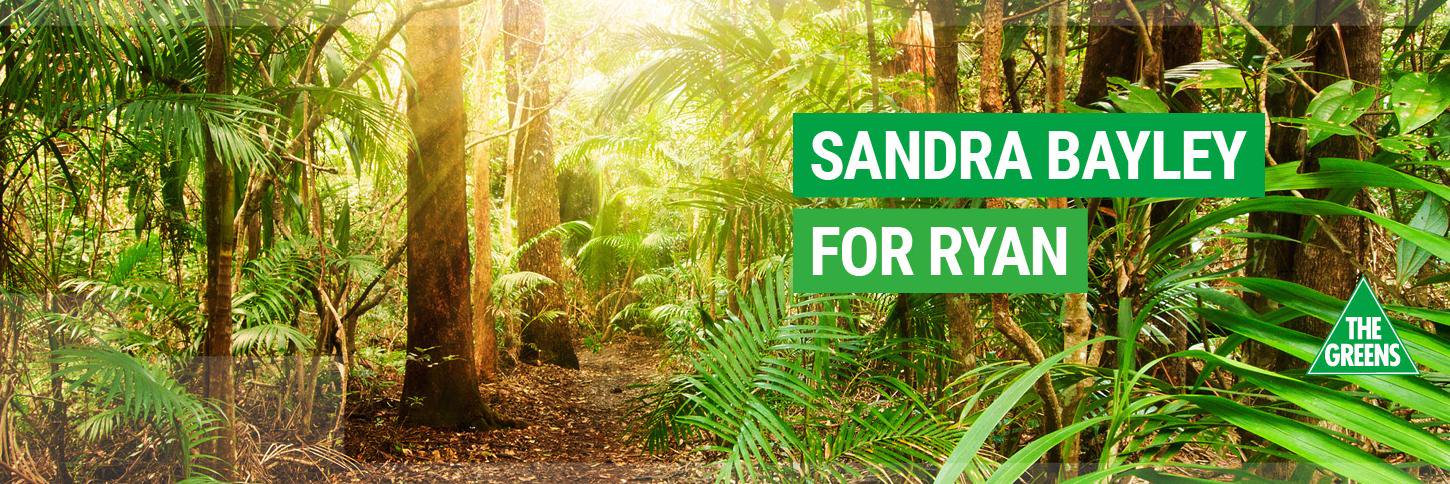 Sandrabayley's profile banner image