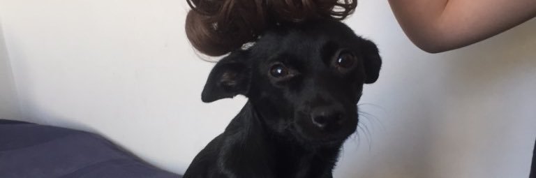 Henri 👽 banner