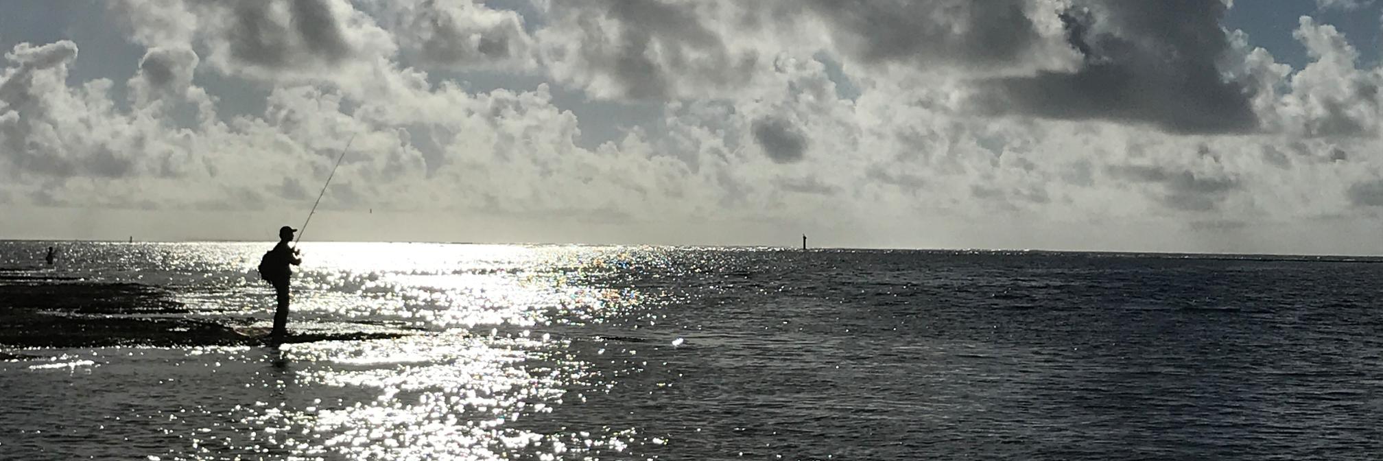 takibicamp's profile banner image
